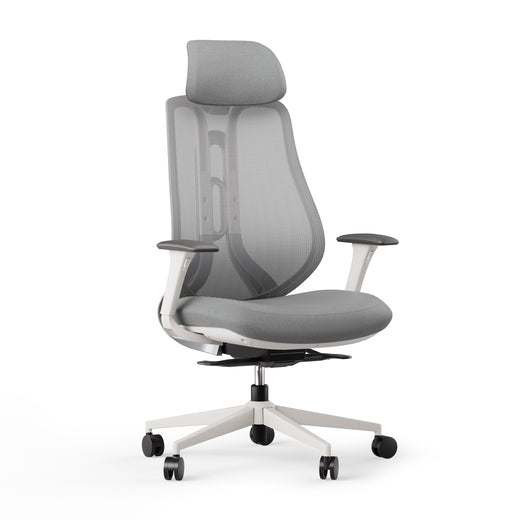 Ergonominė kėdė OmniSit Pro