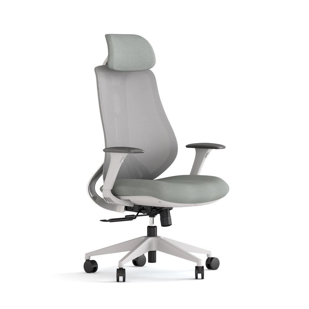 Ergonix Pro Chair