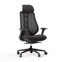 Ergonominė kėdė OmniSit Pro