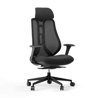 Ergonominė kėdė OmniSit Pro