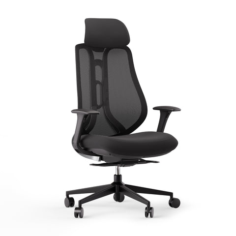 Ergonominė kėdė OmniSit Pro