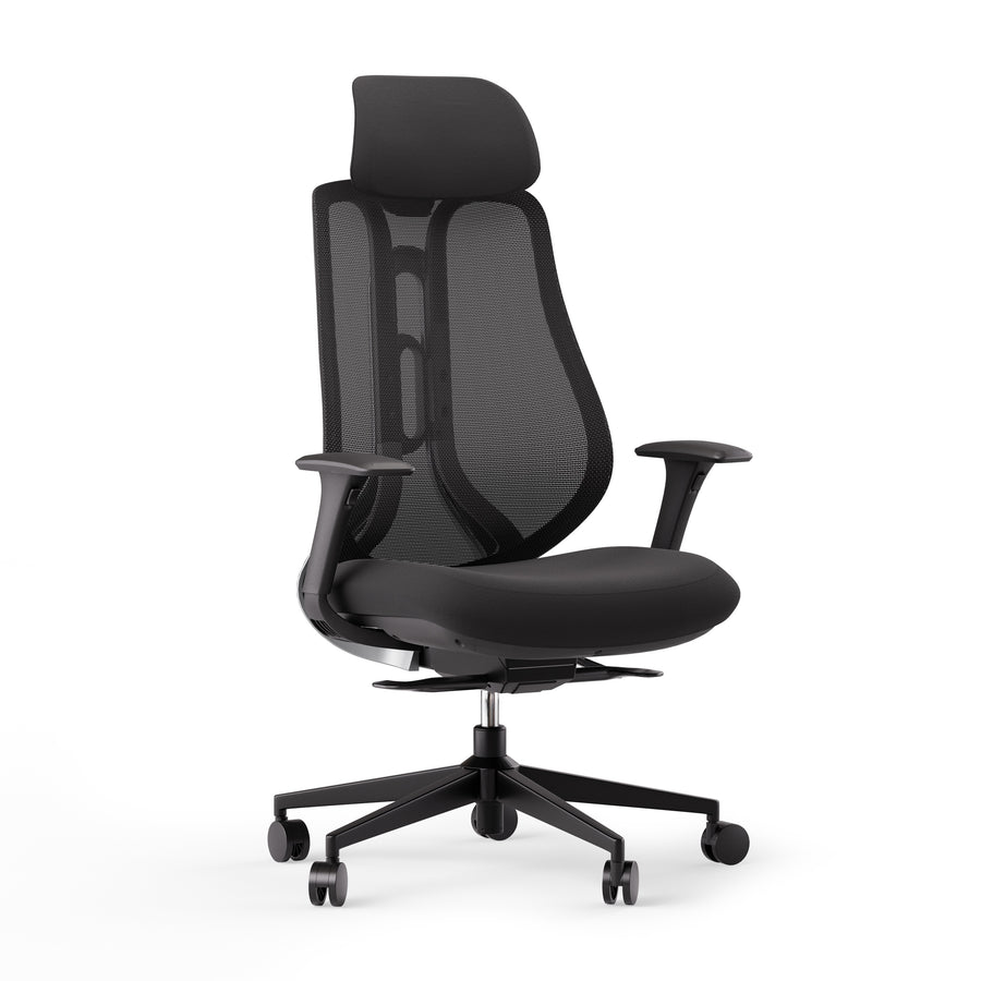 Ergonominė kėdė OmniSit Pro