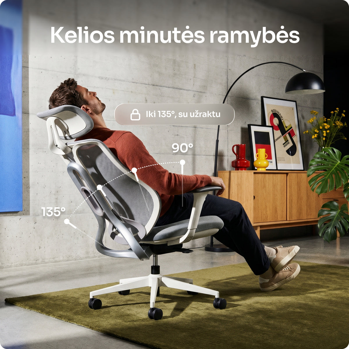 Ergonominė kėdė OmniSit Pro