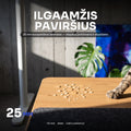 Reguliuojamo aukščio stalas OmniPRO 2.0 - 8