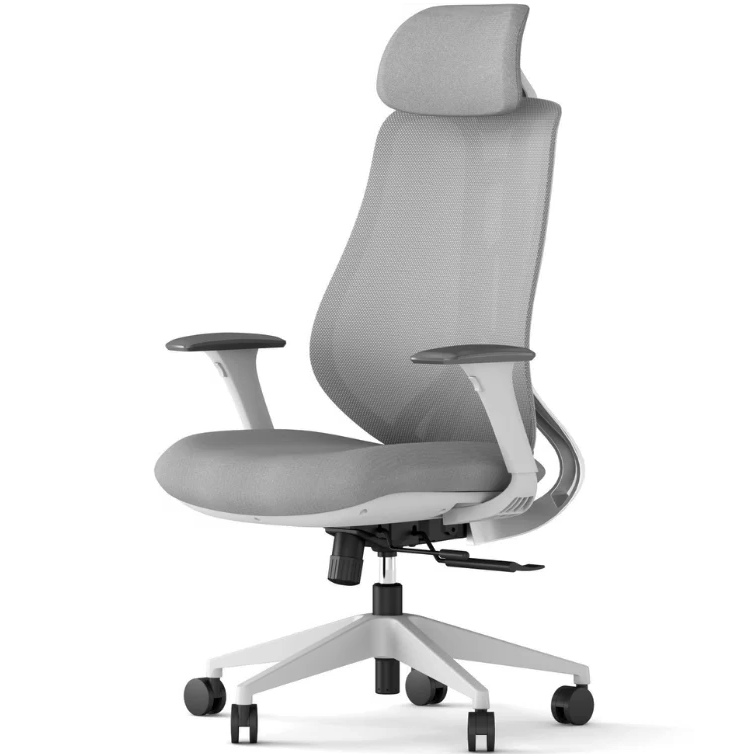 Ergonix OmniSit Pro ergonominė kėdė